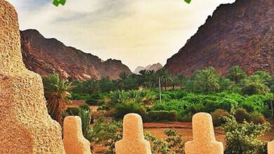 نجد ليست موطن الفتنة