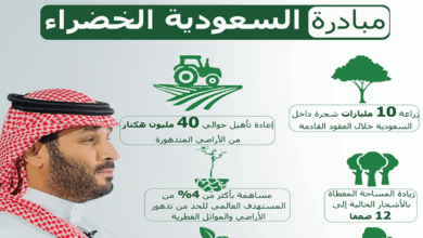 الأمير محمد بن سلمان..يزرع المستقبل في جذور الوطن