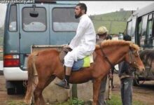 سلمان العودة بين النقاب والسيقان