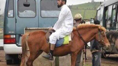 سلمان العودة بين النقاب والسيقان