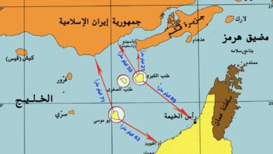حين يتجاهل الإخوان احتلال تركيا واليابان ويهاجمون الإمارات