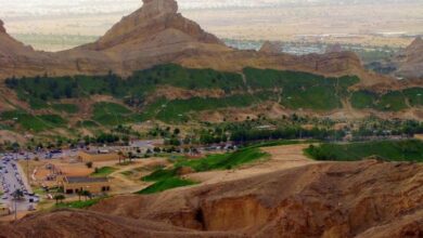 حكام الإمارات وحفيت الخالد