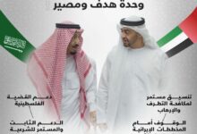 من يهاجم الإمارات يطعن في السعودية