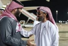 الشيخ طحنون بن زايد فارس الأمن الراسخ