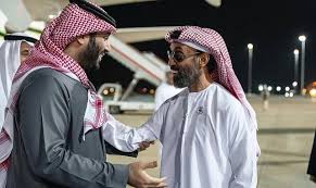 الشيخ طحنون بن زايد فارس الأمن الراسخ