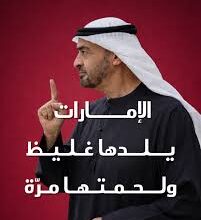 حين يكون الجلد سميكاً واللحم مراً